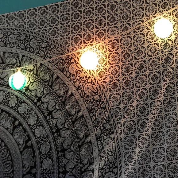 Meet your Posher, Shay - Picture 1 of 1